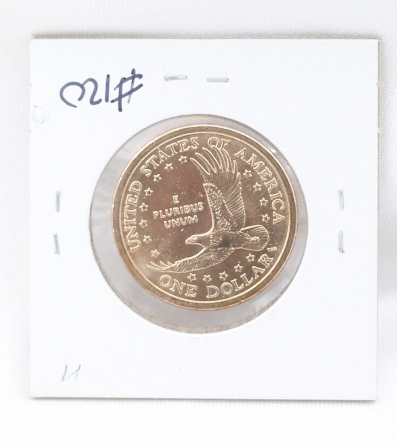 2005 P Sacagawea Dollar coin