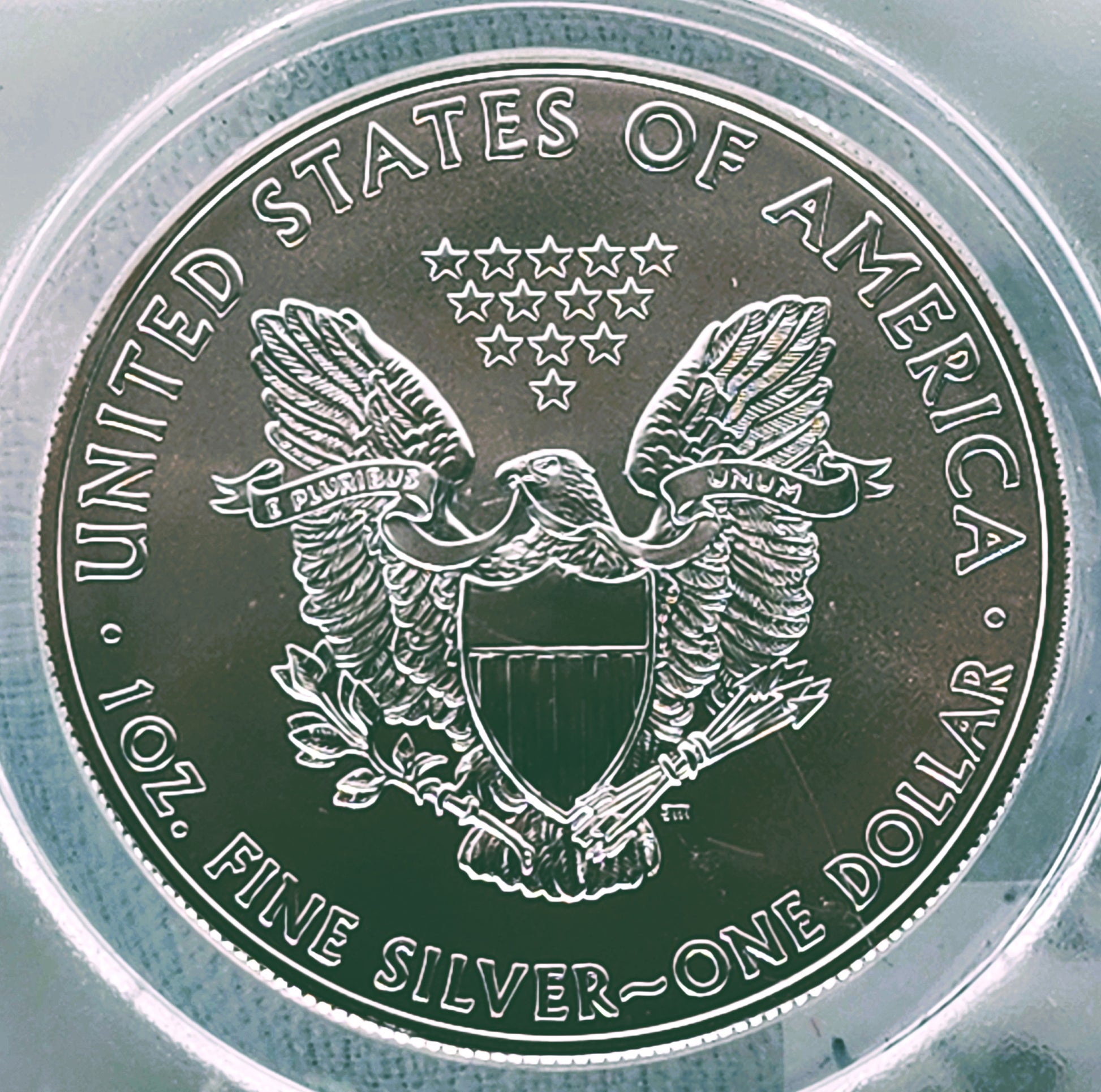2010 SILVER EAGLE FIRST DAY OF ISSUE