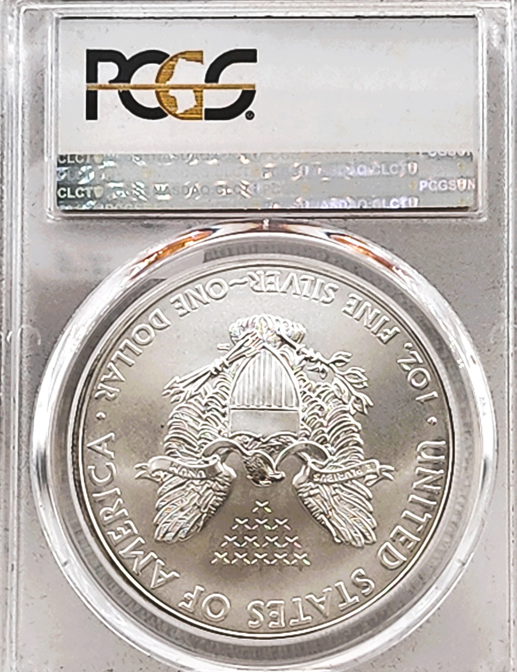 2010 SILVER EAGLE