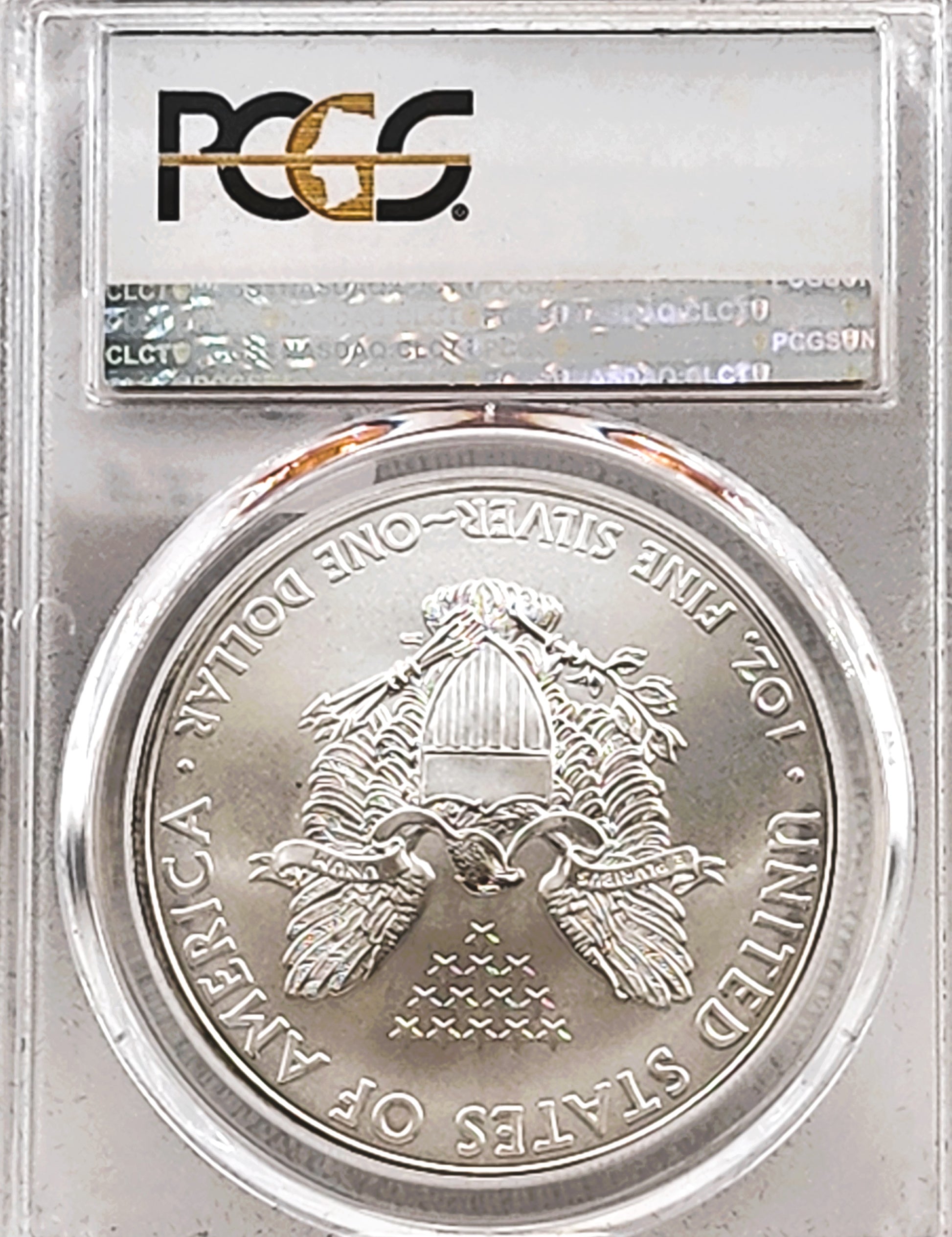 2010 SILVER EAGLE