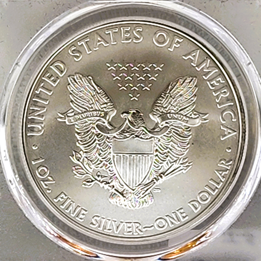 2010 SILVER EAGLE