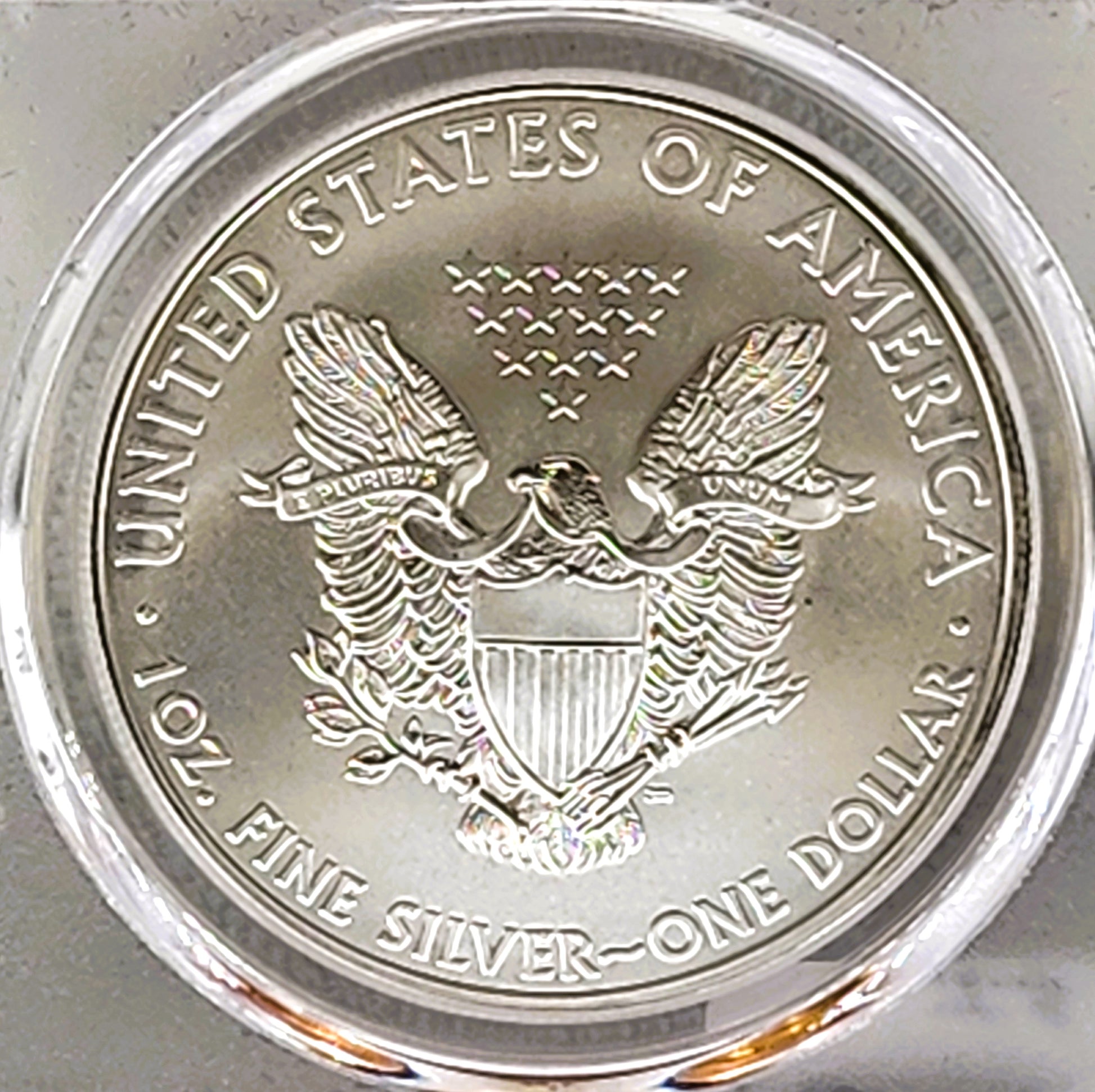 2010 SILVER EAGLE