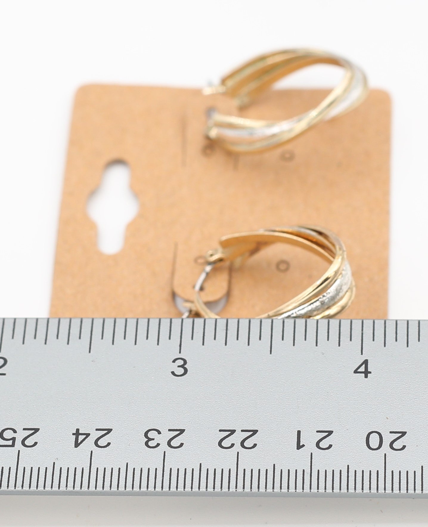 Two Toned Hoop Style Earrings